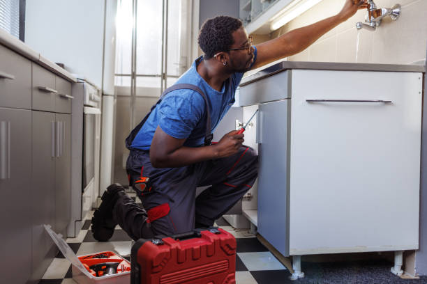 Best Water Softener Installation  in Fern Acres, HI
